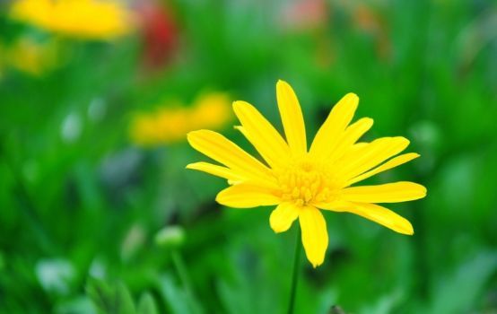 1555402924188952.jpg ΢ÐÅͼƬ_20190416161939.jpg