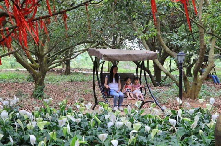 1555403007107312.jpg ΢ÐÅͼƬ_20190416162008.jpg