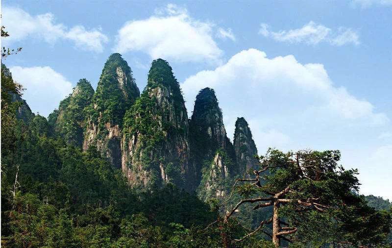 1595317692747113.jpg abce7e94c3bcbecacd2c0933dbf0620.jpg